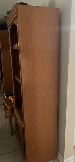Book shelf’s w light