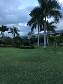 All inclusive trips