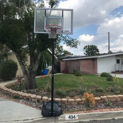 Basketball Hoop Lifetime