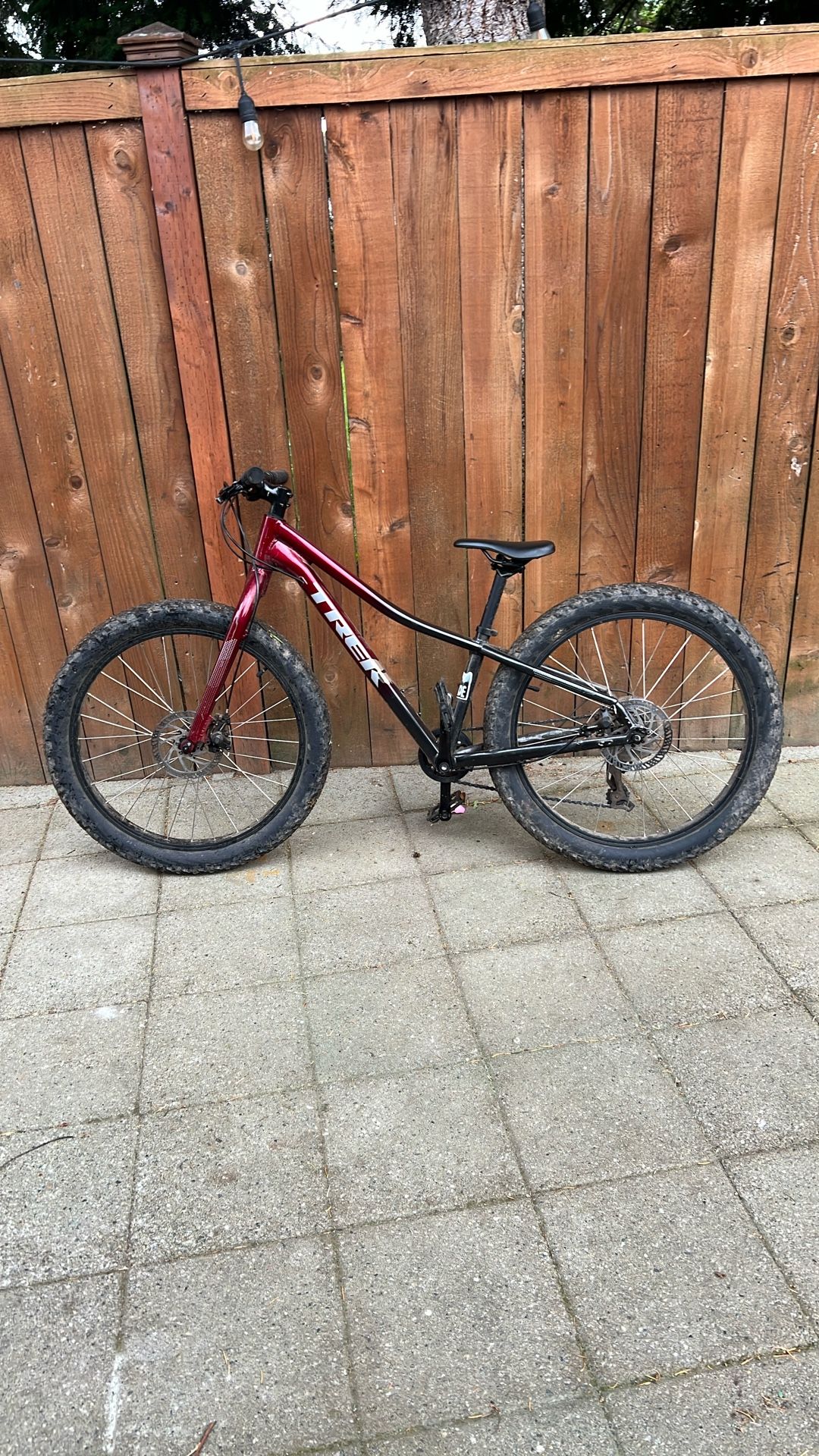 Trek Roscoe 24