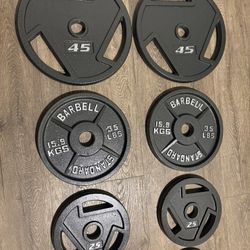BRAND NEW Full Set Of Cast Iron Weight Plates  from 5s to 45s [Total: 245 lbs] 