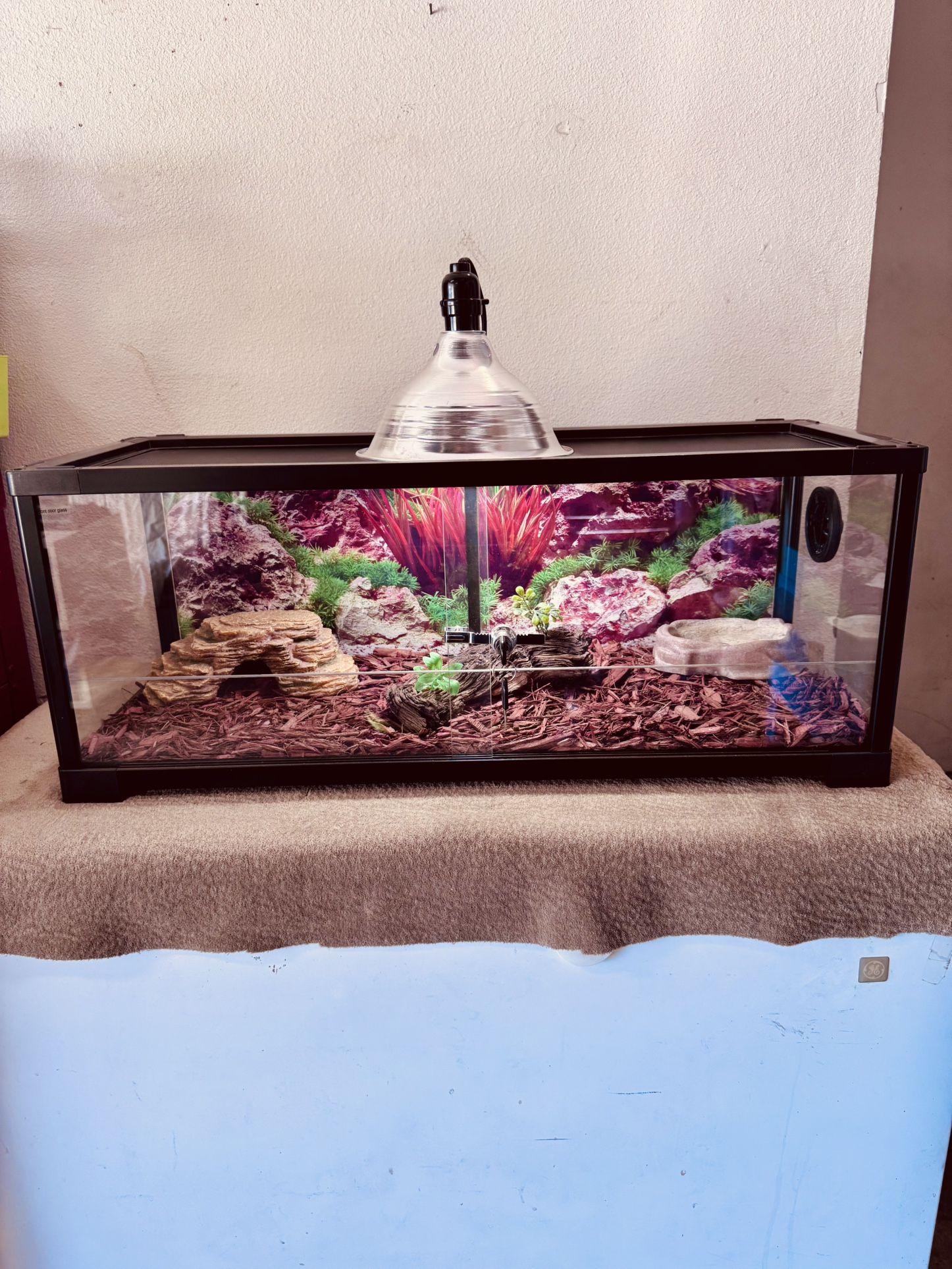 Habitat 20 gallon