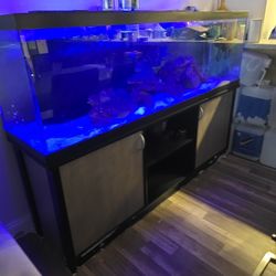 120 Gallon Tank And Stand 
