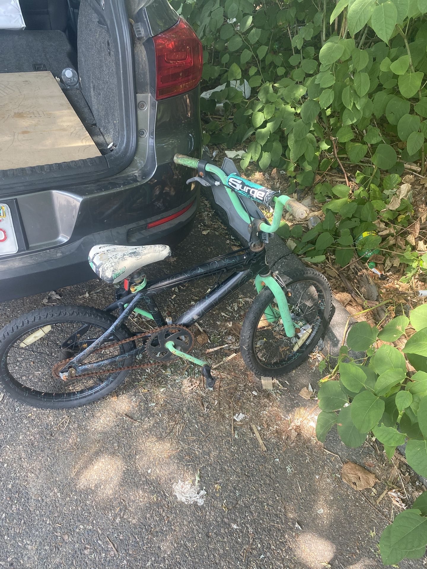 18 Inch Surge Boys Bike 