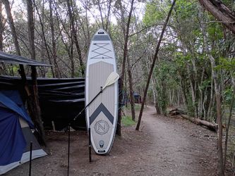 Paddle board
