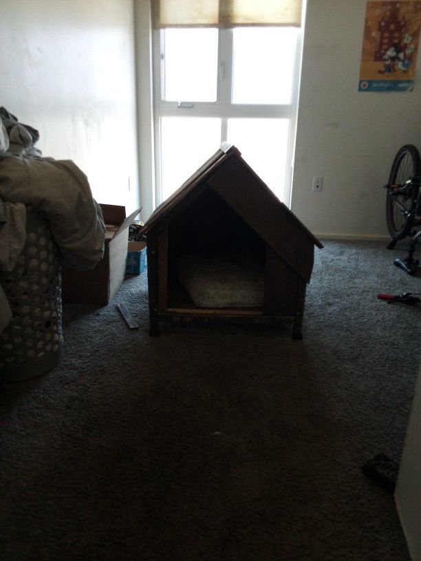 Dog House 
