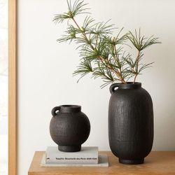 Set of 2 Vases from West Elm