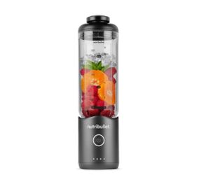 Nutribullet Flex Portable Blender