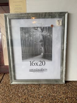 Aaron Brothers 16x20 Silver Beaded Picture Frame