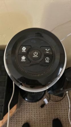 Fan