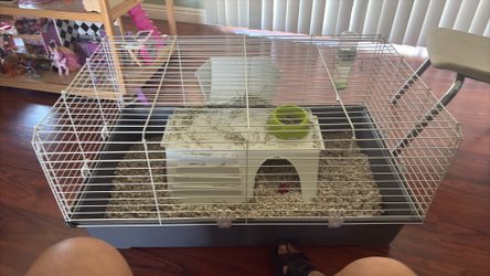 Large Guinea Pig Cage 36 long 22 wide