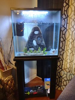 30 Gallon Tall Fish Tank With Stand for Sale in Long Beach, CA