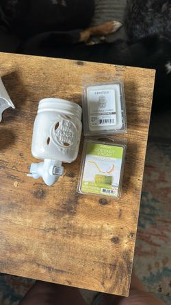 Wax Warmer/melts