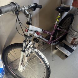 Schwinn Ranger 24" kids' or girls' mountain bike