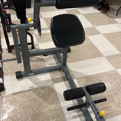 Hudsonsteel Plate Load Back - Abs Machine