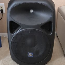 Speaker/Floor Monitor, High Wattage