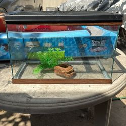 Reptile Tank 