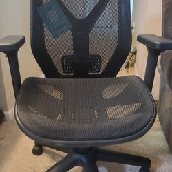 Office Chair _ $50