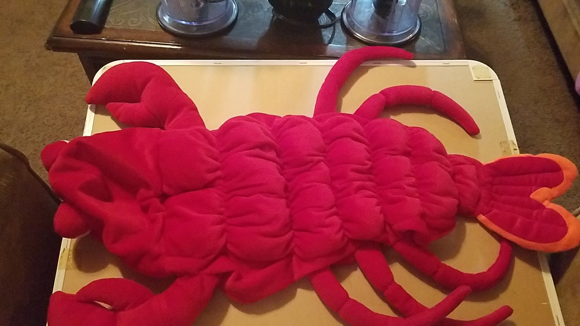 Medium sized lobster dog costume
