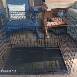 Large Dog Kennel