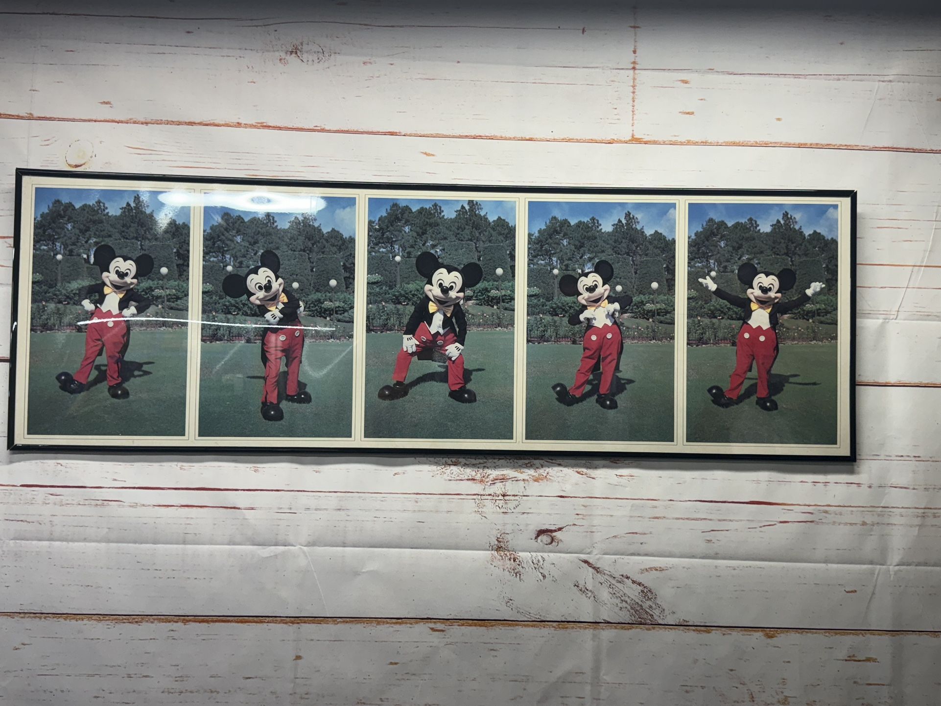 Vintage Mickey Mouse Promo Shots 3ftx1ft 5-(8x10) Prints Estate Sale Find Rare