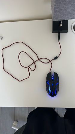 Mouse