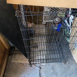Large Dog Crate, Large Cat Litter Box With Mat And Animal Food And Water Dishes