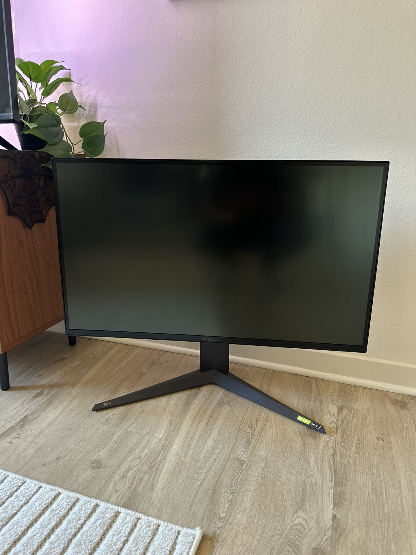 LG 32 Inch Monitor