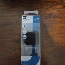 12w Wall Charger