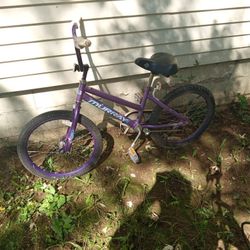 Murray Purple Kids Bike
