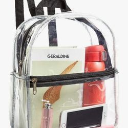 Small Clear Backpack 