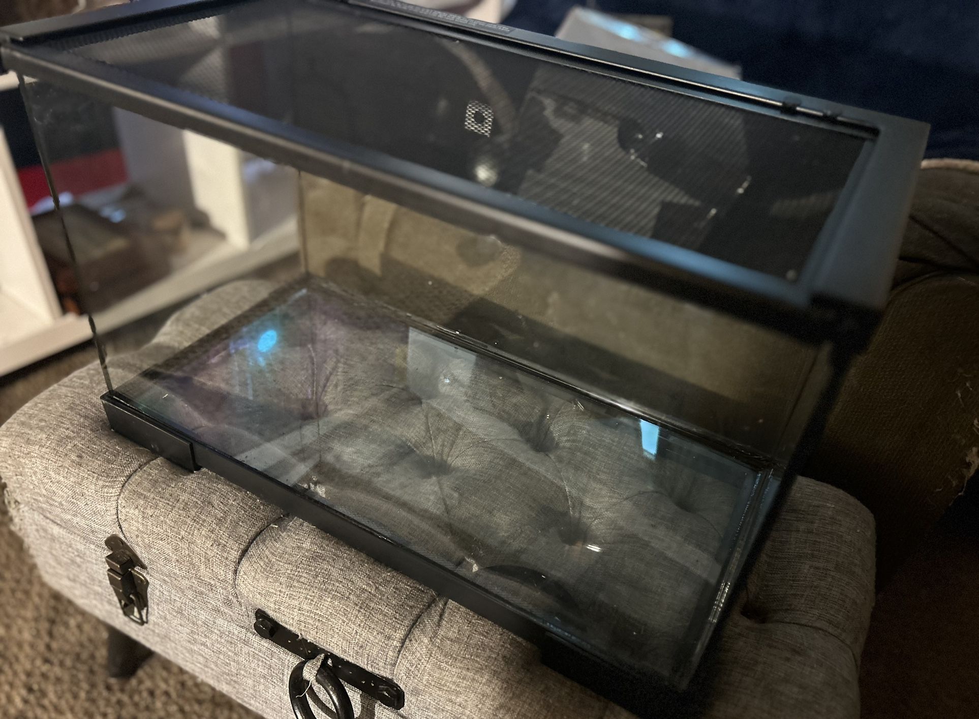 10 Gallon Reptile/small Animal Tank