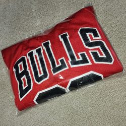 Vintage Michael Jordan Chicago Bulls Jersey