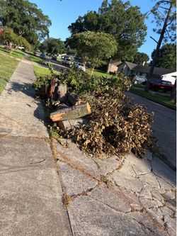 10442 winding trail La Porte Free Oak wood great for fire wood.