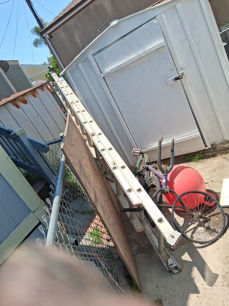 Ladder