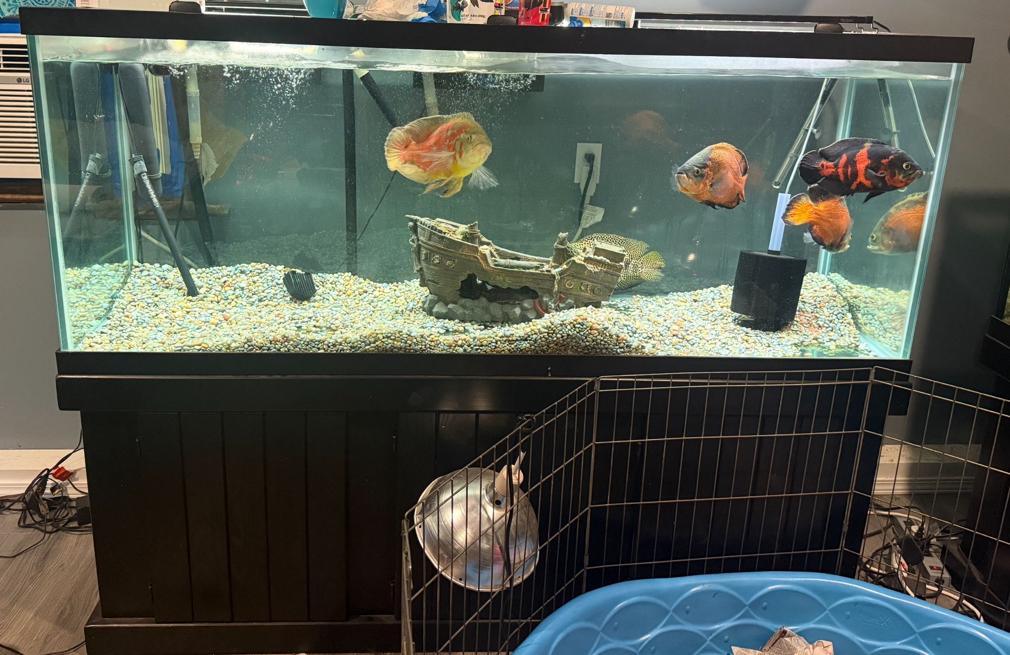 210 gallon aquarium with Oak Stand perfect condition only a couple years old
