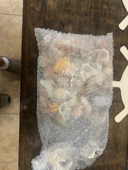Sea shells and starfish in bubble wrap.