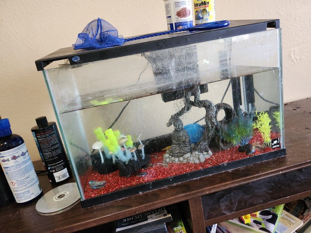 Pool And 3 Fish And 3 Frog Very Smool WORK PERFECT EVERYTHING IS GOOD