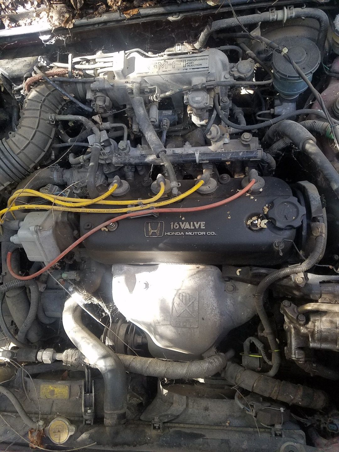 1990 Honda Accord