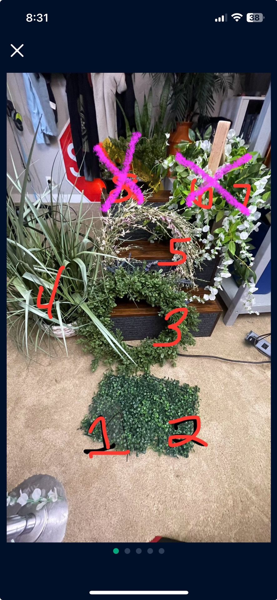 Fake Plant Variety 