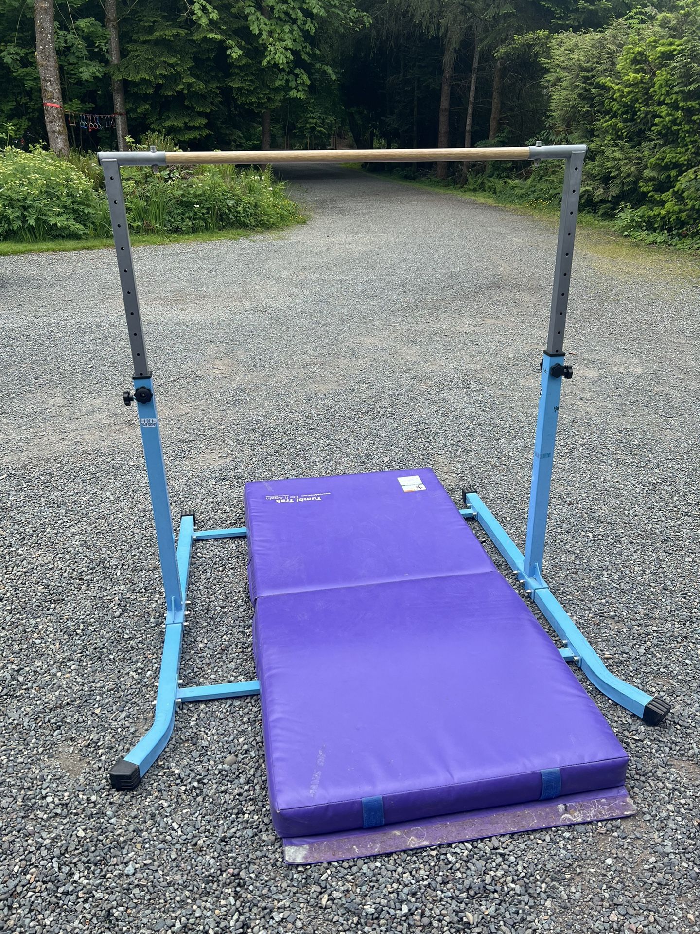 Gymnastics Bar $100