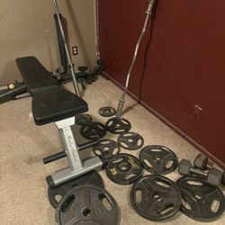 Weight Bench  & Many Weights 