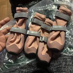 Dog Boots