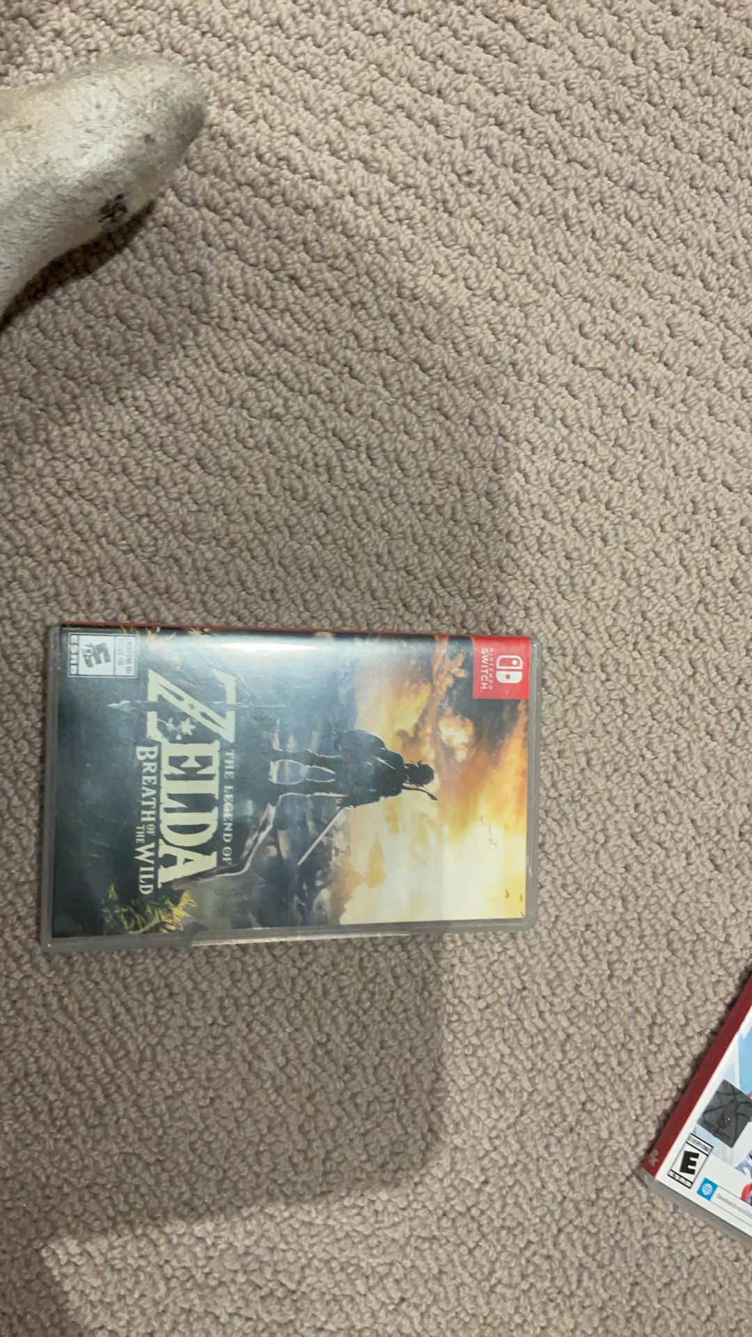 The Legend of Zelda Breath Of The Wild