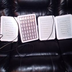 Grow Lights 