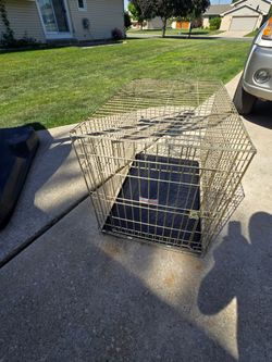 Dog Cage