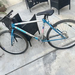 Bike, Raleigh USA, Blue & Grey
