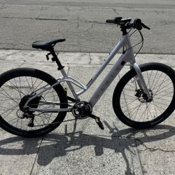 Marin Stinson E St Silver -large 