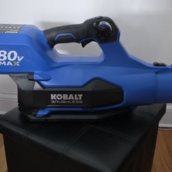 Cordless Electric Leaf Blower