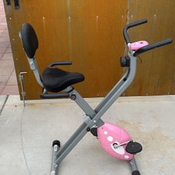 Sunny Health & Fitness Pink Foldable Magnetic Exercise Bike,